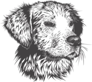 Logo Natuerlicher Hund